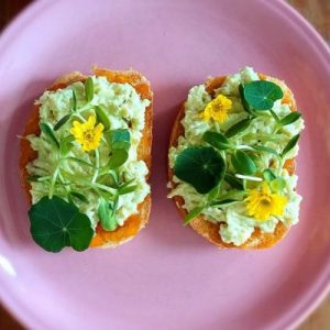 Sanja Microgreens (11)