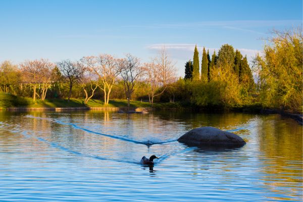 Sandanski lake park