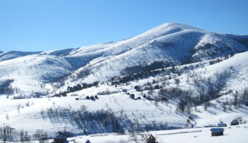 Zlatibor: Snow Among the Golden Pines
