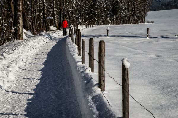 Kitzbühel Snowy Walking Path (Austrian Alps)
