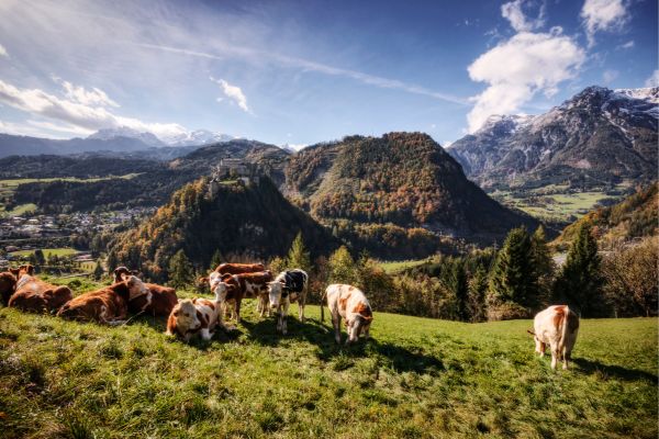 Austria