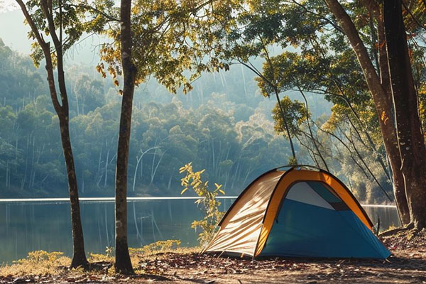Camp Life Best Life