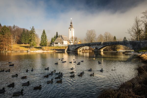 Lake Bohinj, Slovenia