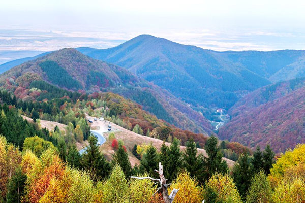 The Carpathians