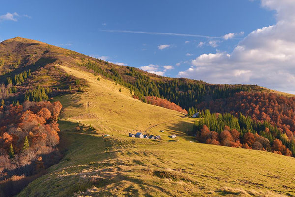 The Carpathians
