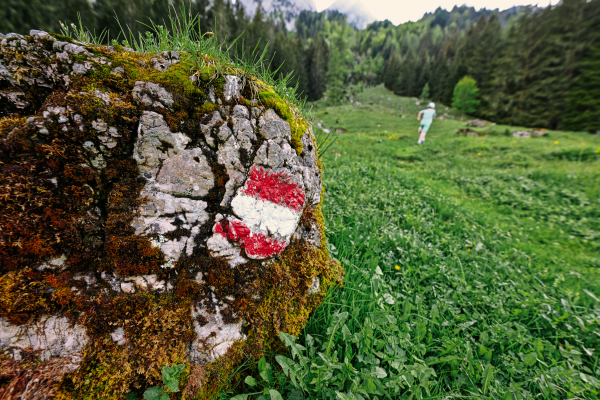 Vorderer Gosausee (Upper Austria)