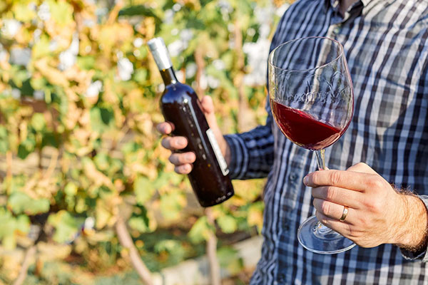 Kratošija – Ancient red, intense berry aroma.