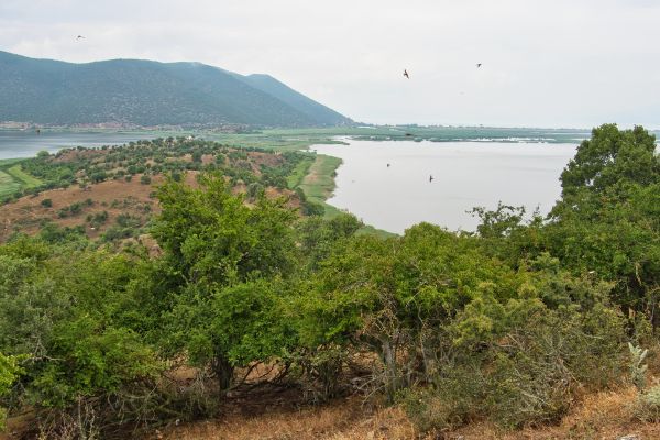Lake Ohrid