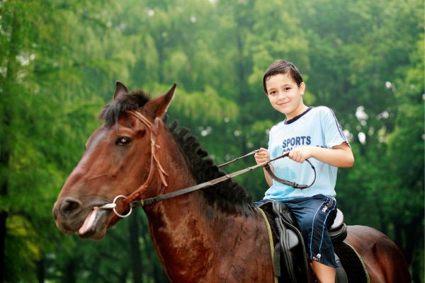 Horse Amateur Riding (Mavrovo National Park)