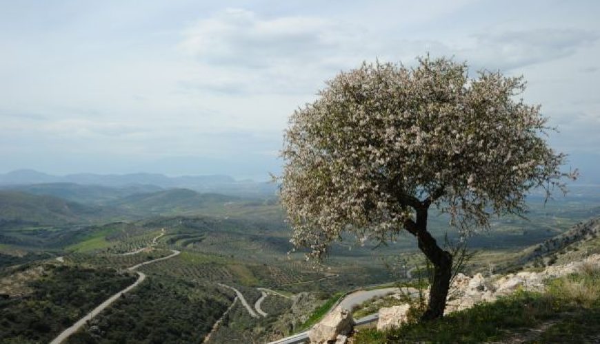 Skopje to Nafplio via Metsovo & Parga