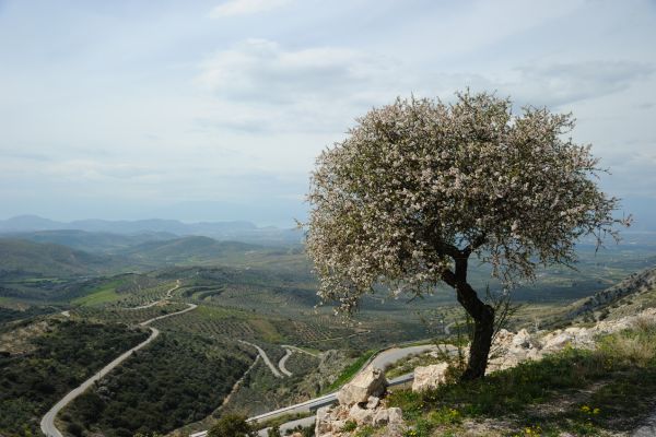 Skopje to Nafplio via Metsovo & Parga