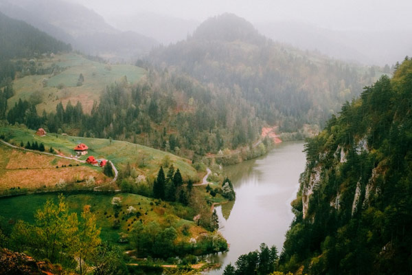 Tara national park