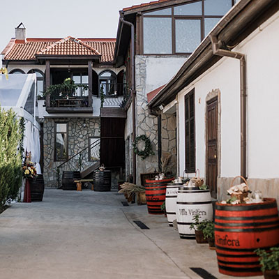 Villa Vinifera