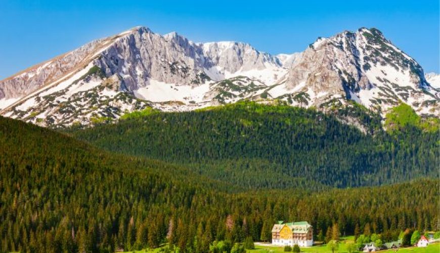 Up in the Mountains