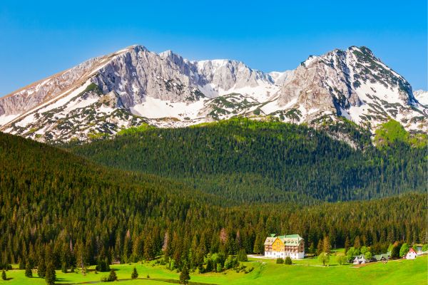Up in the Mountains