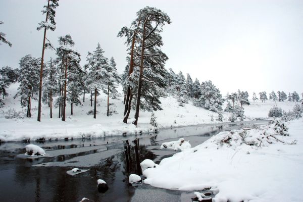 Zlatibor