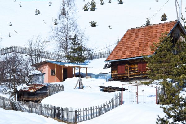 Zlatibor