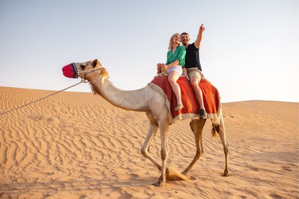 Camel Rides