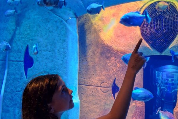 The Lost Chambers Aquarium