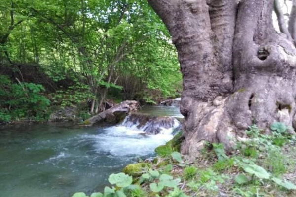 Sermeninski Chardak (Sermenin Village, N.Macedonia)