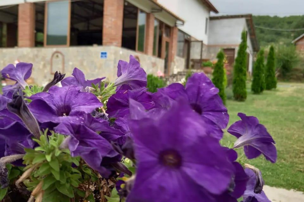 Sermeninski Chardak (Sermenin Village, N.Macedonia)