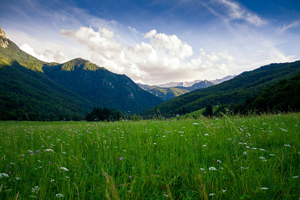 Valley of Heroes, Sutjeska National Park