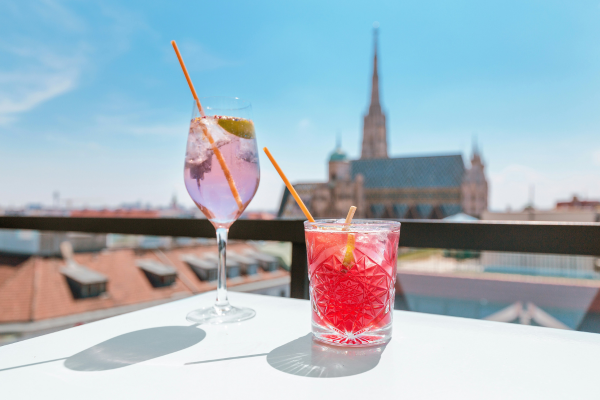 Skaybar in Vienna (Austria)