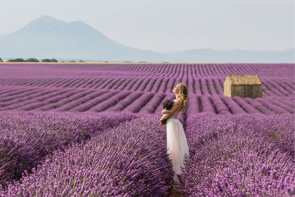 Provence’s Hidden Gems