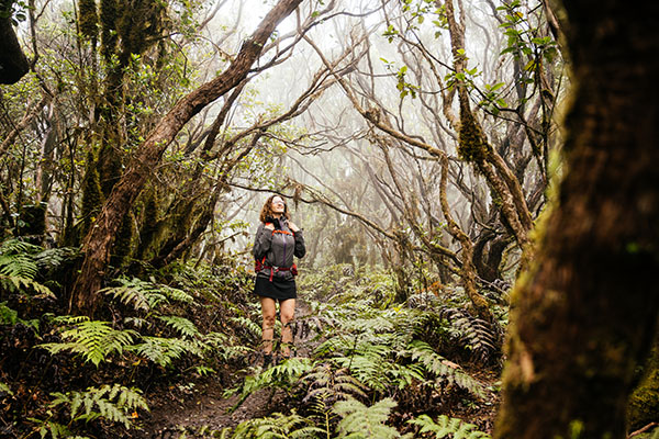 El Pijaral trail in Anaga Park, Tenerife