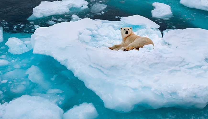 Greenland: Beyond Roads, Beyond Noise