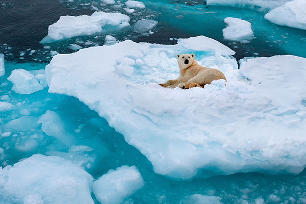 Greenland: Beyond Roads, Beyond Noise