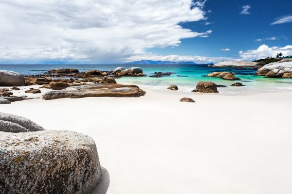Boulders beach, Simons Town, 45 km fom Cape Town