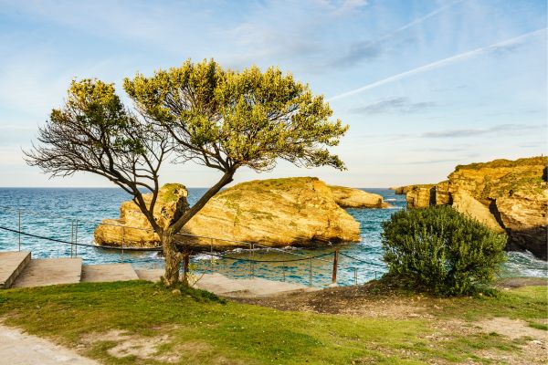 Cathedrals Beach, near Ribadeo: one of the most iconic natural wonders in Galicia. They are only accessible for -2 hours before and after low tide. At high tide, they disappear. Access is strictly regulated, permit is required.