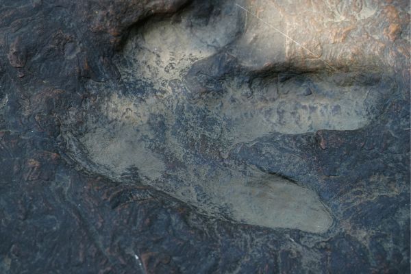 Dinosaur footprints fossil on rocks, Asturias and in the inland region of La Rioja.