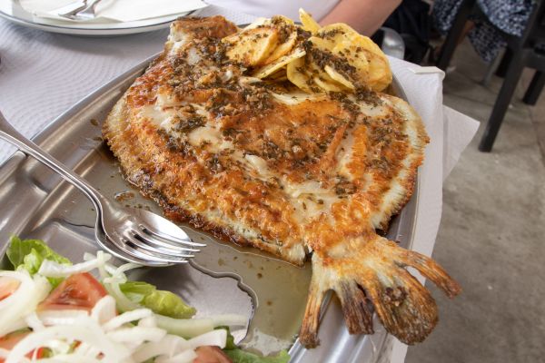 Rodaballo (Turbot) - The King: grilled turbot in the Basque village of Getaria. It is grilled whole in metal baskets over open charcoal fires. The Vibe: Smoky, gelatinous, and rich..