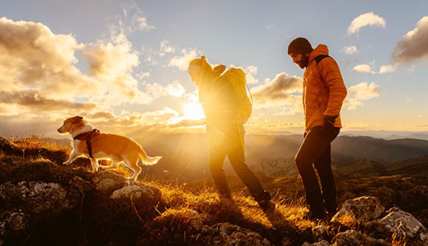 Pet-friendly Bansko
