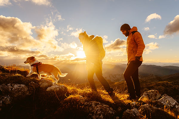 Pet-friendly Bansko