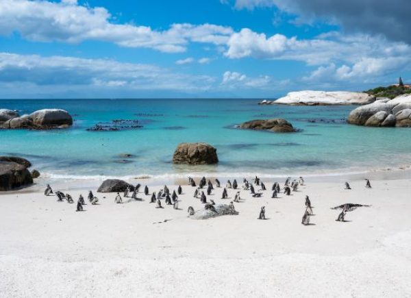 Cape Town (4)