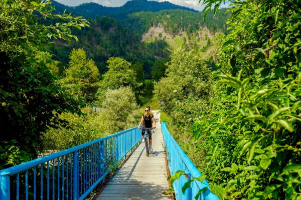 Green nature of Slovenia alps area of Kranjska Gora