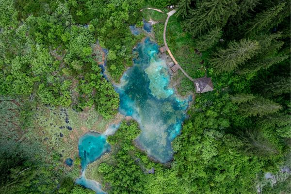 Zelenci Nature Reserve